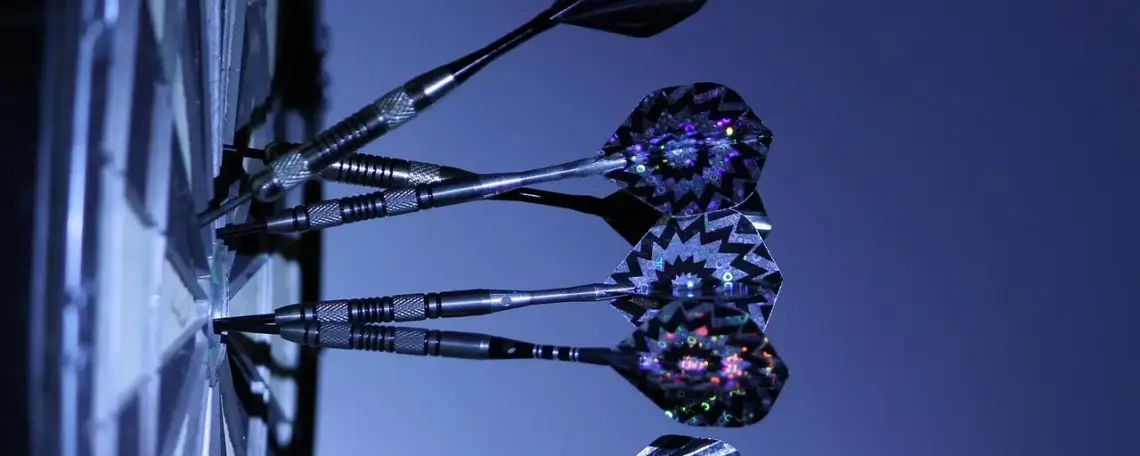 Hvilke typer elektronisk dart findes der?